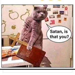 Meet your Posher, Saba